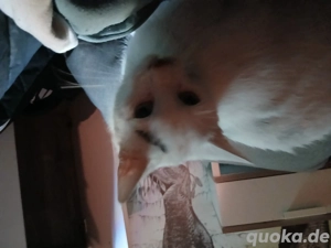 Ist ein junger und ist in Mai geboren