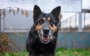 Beeindruckender Armani			