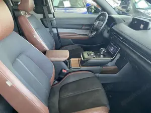 Mazda MX-30 EV Advantage 3-phasig Matrix, PDC, Kamera, Navi Bild 5