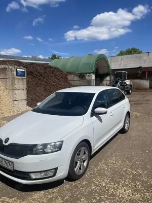 Skoda Rapid/Spaceback Joy Bild 4