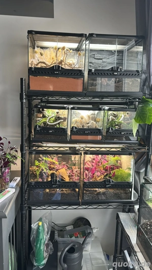 Exo Terra Nano Cube 20x20x20 Terrarium
