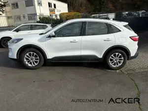 Ford Kuga 1.5 EcoBoost Cool  Connect Navi/WinterPak Bild 4
