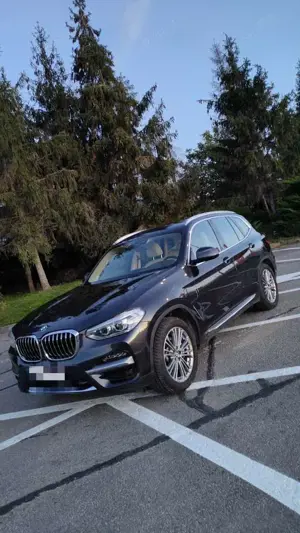 BMW X3 xDrive30e Aut. Luxury Line Bild 4