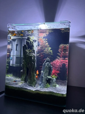 Komplettes 30-Liter-Aquarium-Set mit Fischen