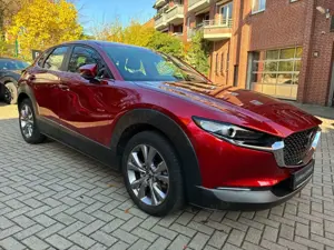 Mazda CX-30 SKYACTIV-G 122 AT SELECTION Leder AHK Bild 5
