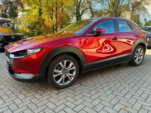 Mazda CX-30 SKYACTIV-G 122 AT SELECTION Leder AHK Bild 1