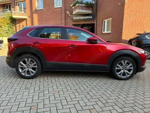 Mazda CX-30 SKYACTIV-G 122 AT SELECTION Leder AHK Bild 4