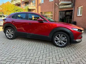 Mazda CX-30 SKYACTIV-G 122 AT SELECTION Leder AHK Bild 3