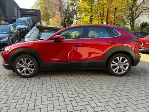 Mazda CX-30 SKYACTIV-G 122 AT SELECTION Leder AHK Bild 2