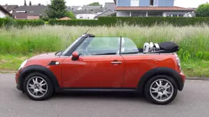 MINI Cooper D Cabrio Mini Cooper D Cabrio