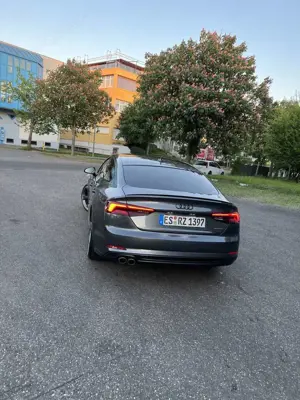 Audi A5 Sportback 3.0 TDI quattro tiptronic sport Bild 4