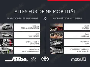 Toyota C-HR Hybrid Team Deutschland Bild 3