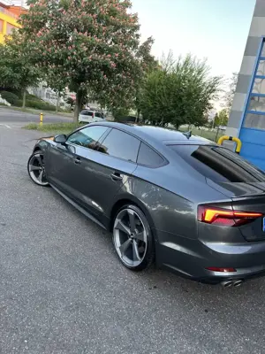 Audi A5 Sportback 3.0 TDI quattro tiptronic sport Bild 3