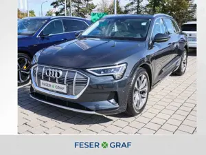 Audi e-tron 55 qu advanced HuD Matrix Navi Pano Leder