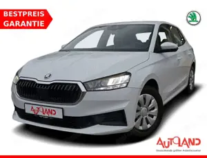 Skoda Fabia 1.0 Ambition LED SmartLink Sitzheizung DAB