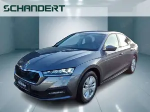 Skoda Octavia Lim. 2.0 TDI Ambition DSG LED Sitzhzg Klimaauto