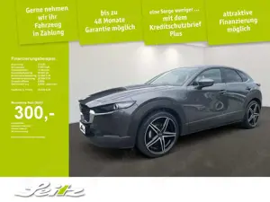 Mazda CX-30 Selection AWD Navi*Rückfahrkamera*Einparkhilfe hi*