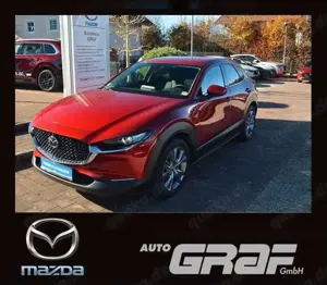 Mazda CX-30 Selection 2WD HuD ACC 360° Bose