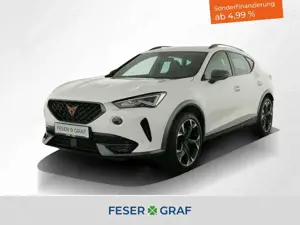 CUPRA Formentor 2.0TSI VZ DSG LED Winterpaket el.Heckklappe