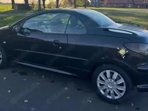 Peugeot 206 Peugeot 206 CC Sport 2.0l Bild 3