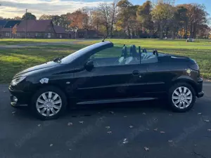 Peugeot 206 Peugeot 206 CC Sport 2.0l Bild 2