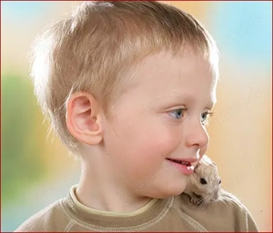 Zauberhafte, handzahme Rennmäuschen Bild 10