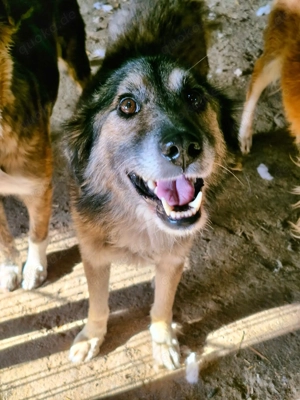 Mortimer überzeugt durch seine Freundlichkeit