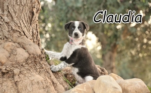 Claudia ist bereit, die Welt zu entdecken darf sie das vielleicht bald an deiner Seite tun?