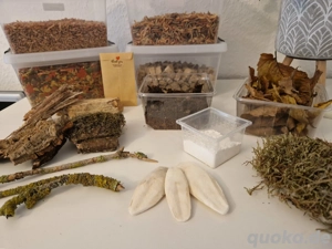 Starter-Set Asseln Isopoden Sorglos-Paket