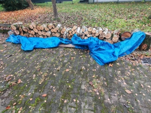 Brennholz stämme o.ä