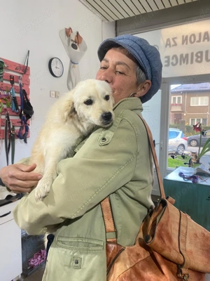 Die kleine Daisy (6 Monate) sucht ein zu Hause  Bild 2