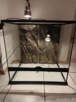 Exo Terra 60 x 45 x 60 cm  Terrarium 