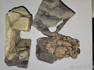 Plastikhöhle und Steine terrarium