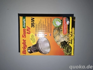 UV Lampe für Reptilien 