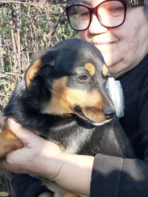 Zum Dahinschmelzen: Polly möchte dein Herz erobern
