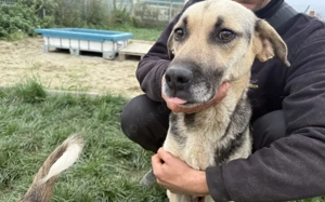 Bezaubernde Sorina möchte Dein Leben bereichern!