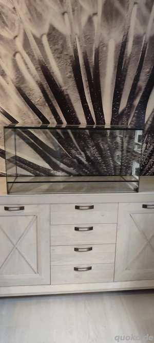 Glasterrarium 100 50 50 2 Stück verfügbar 