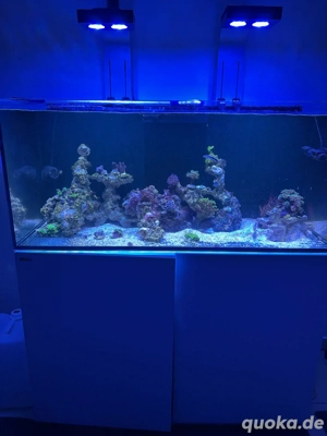 Red Sea 350 inkl Besatz&Technik