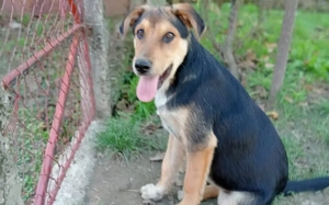 Verliebst du dich in Henry?