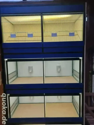 Zuchtschrank  Verkaufsanlage abzugeben 