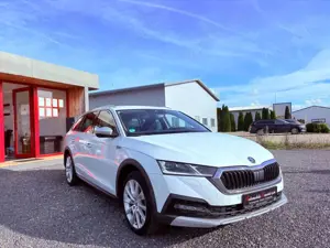 Skoda Octavia Combi Scout First Edition 4x4 DAB HUD Bild 3