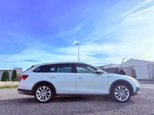 Skoda Octavia Combi Scout First Edition 4x4 DAB HUD Bild 4