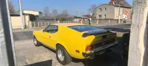 Ford Mustang Mach1 Bild 2
