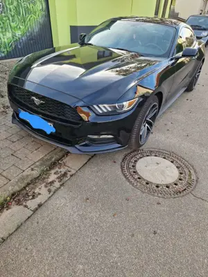 Ford Mustang Basis Fastback