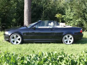 BMW 325 325 Ci Bild 3