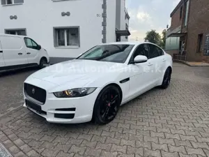 Jaguar XF /Motor macht Geräusche