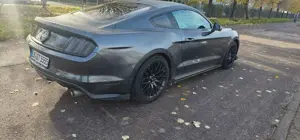 Ford Mustang GT Fastback Bild 4