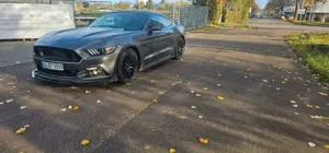 Ford Mustang GT Fastback Bild 2