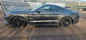 Ford Mustang GT Fastback Bild 3
