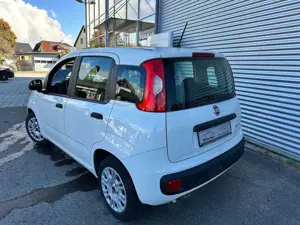 Fiat Panda /Pandina Panda 1.0 GSE Hybrid Bild 4